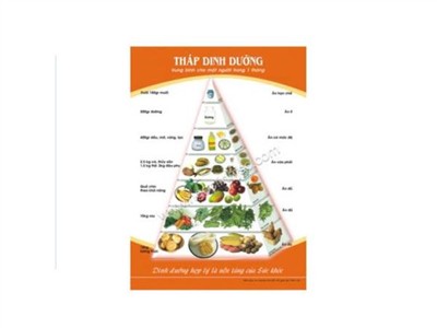 Tháp dinh dưỡng